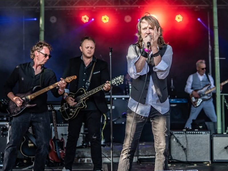 The Diamond Dogs en concert